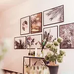 Apartmán Mit Dachterrasse Und Schlossblick Heidelberg